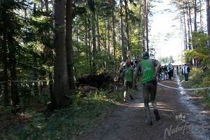 Wildsaulauf 37