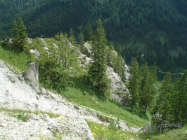 P8100326