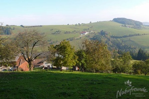 P1120378
