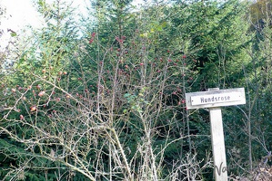 P1120404