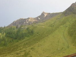 IMG 0075