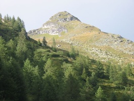 IMG 0076