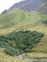 IMG 0087