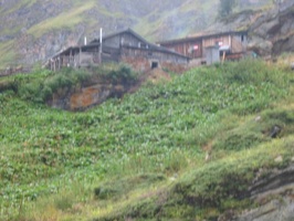 IMG 0092