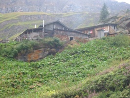 IMG 0093