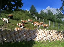 Adventure Weekend 2011 Abtenau 34