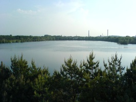 DSC00219