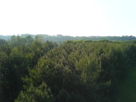 DSC00220