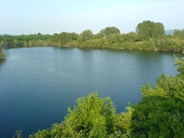 Viehofner See