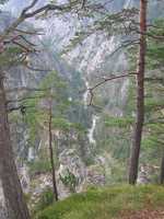 IMG 0033