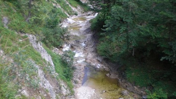 Wildalpen 3 8 08 19