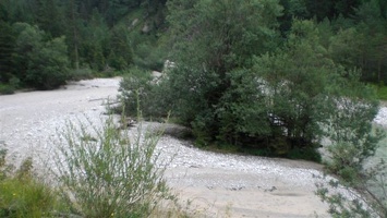 Wildalpen 3 8 08 4