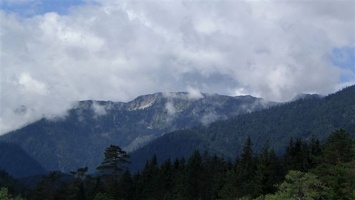 Wildalpen 3 8 08 8