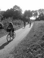 Burgenland 2006 008