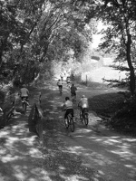 Burgenland 2006 009