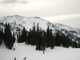 IMG 0006