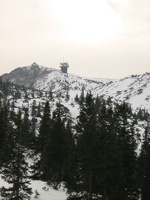 IMG 0007