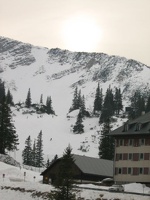 IMG 0013