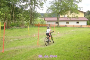 Bild 121 2