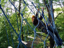 Dschungelparcours 2005 085