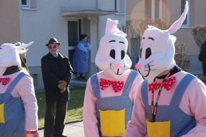 Faschingsumzug2007 123