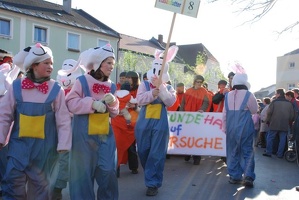 Faschingsumzug2007 193