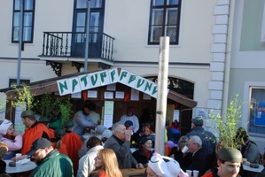 Faschingsumzug2007 239
