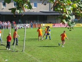 IMG 0081