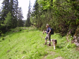 Gro er Geiger 022