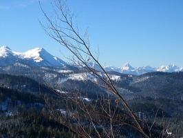 IMG 0023