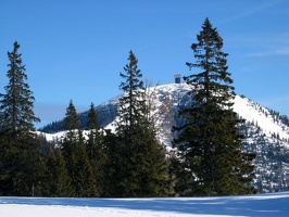 IMG 0026