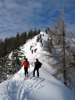 IMG 0063