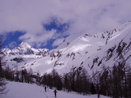 Glockner Martin G 017