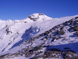 Glockner Martin G 111