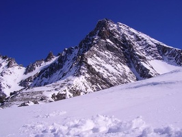 Glockner Martin G 130