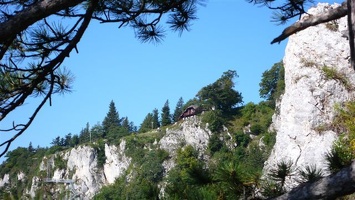 2008 08 31Wanderung Hohe Wand 036