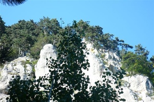 2008 08 31Wanderung Hohe Wand 081