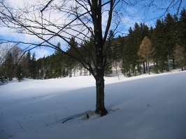Hennesteck Eibl 004