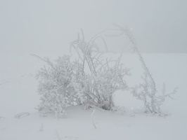 PC270748