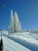PICT0079