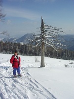 Hinteralm1 3 04 016