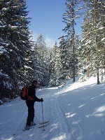 Hinteralm1 3 04 019