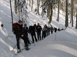 Hochstaff28 2 04 011