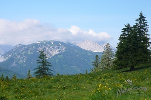Hohe Veitsch 4