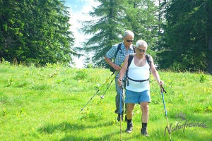 Hohe Veitsch 5