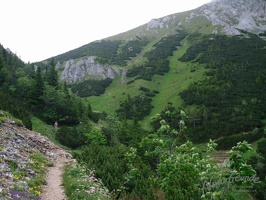 Hohe Veitsch 7