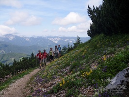 Hohe Veitsch 8