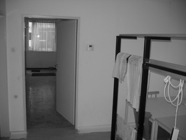 IMG 0013