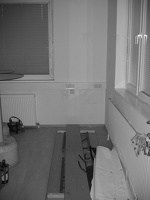 IMG 0017