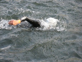 IMG 2478 001